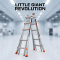 Versatile Transformable Folding Ladder
